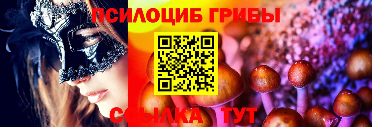 Галлюциногенные грибы Psilocybe  Галлюциногенные грибы Cubensis  Спасск-Дальний  Вход с VPN 