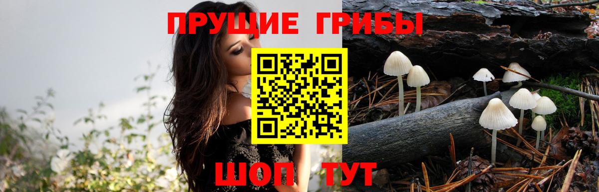Галлюциногенные грибы Cubensis Спасск-Дальний